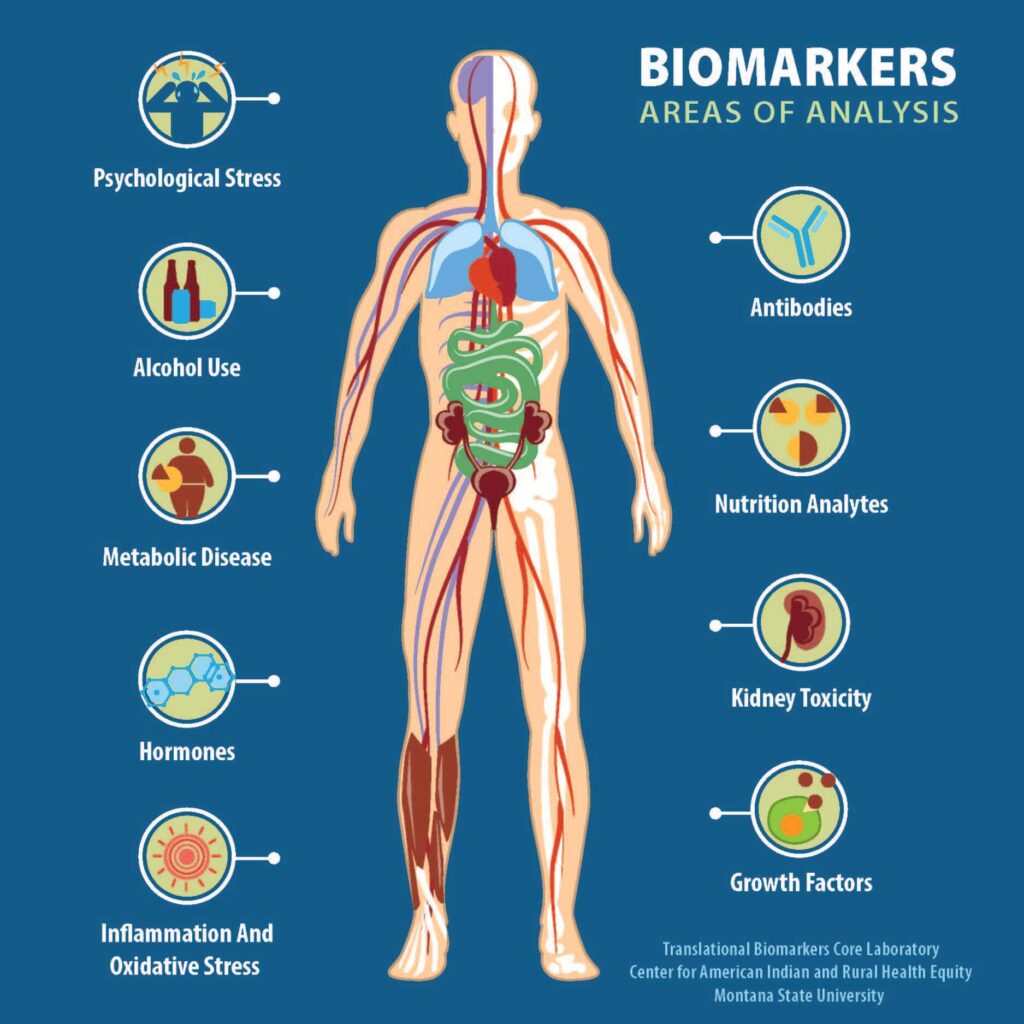 Biomarkers Human Body 1 1024x1024