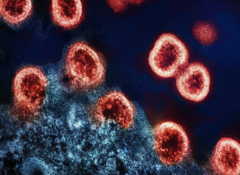 Allergies1 768x561
