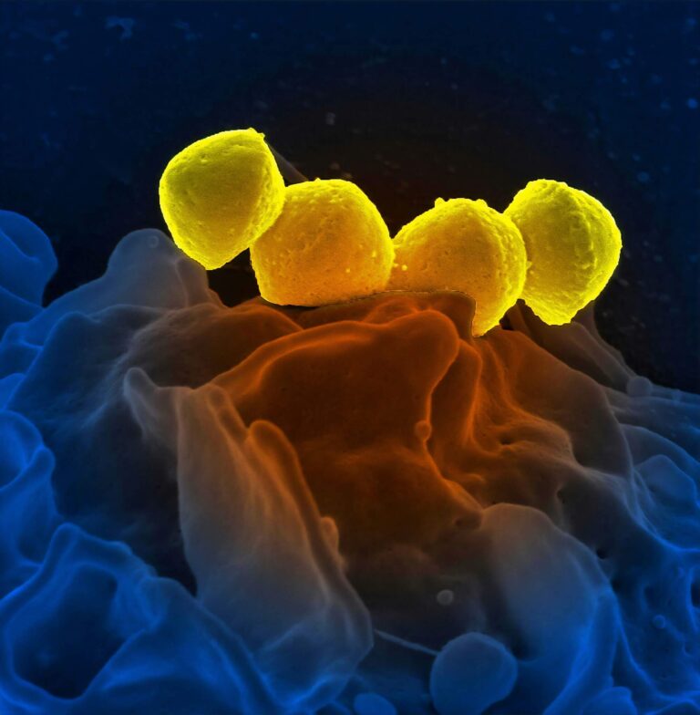 Biomarkers 768x784