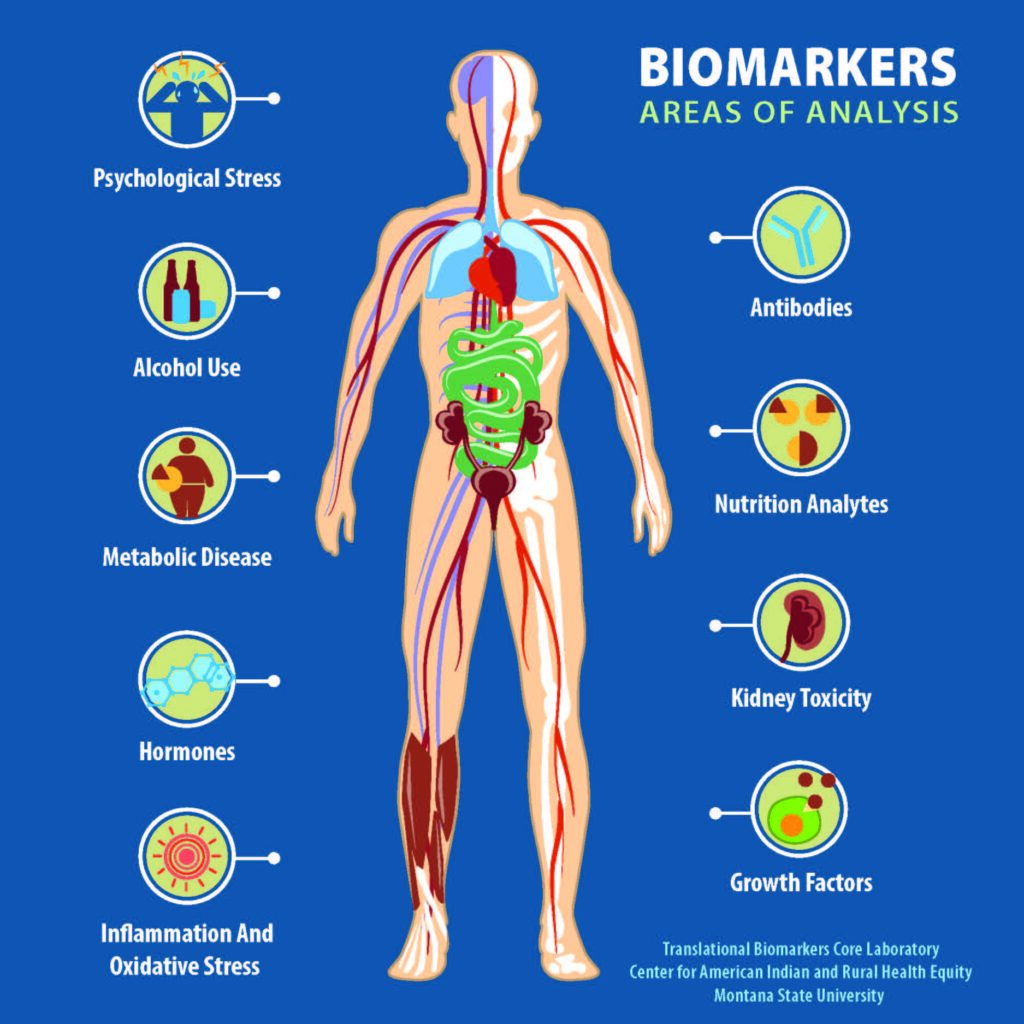 Biomarkers Human Body 1024x1024