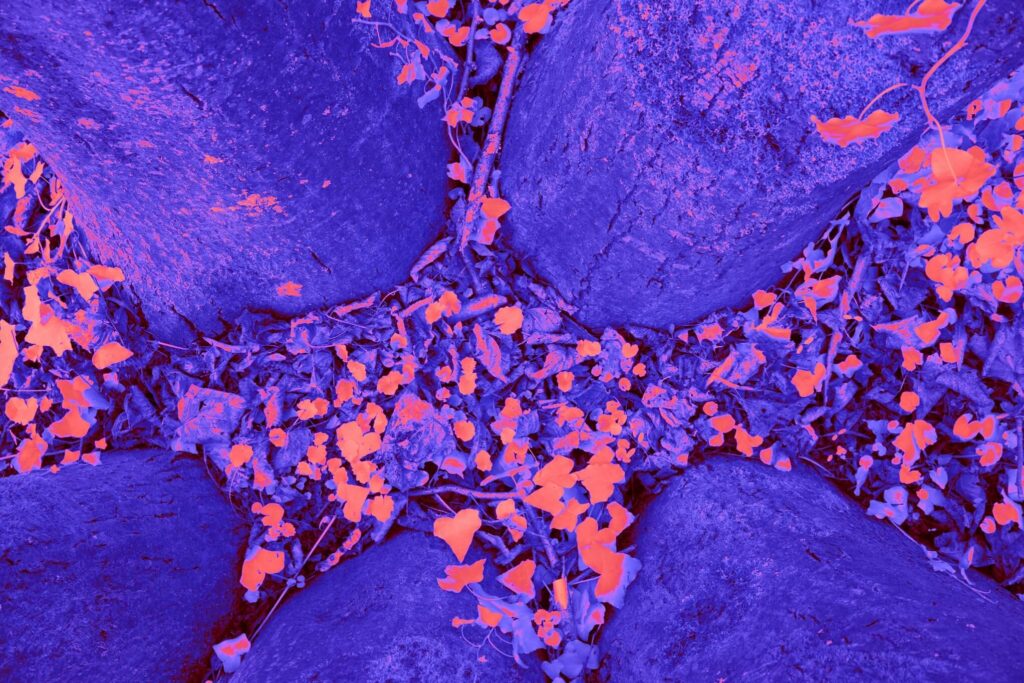 Biomarkers3 1024x683