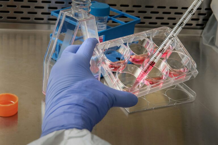 Heavy Metals Biomarkers 768x512