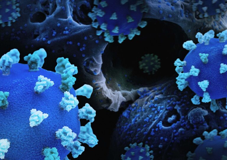 Immune Regulation Biomarkers 768x541